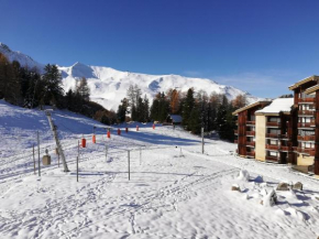 Studio 1 pièce PLAGNE VILLAGE 4 personnes 2050 M PIED DES PISTES